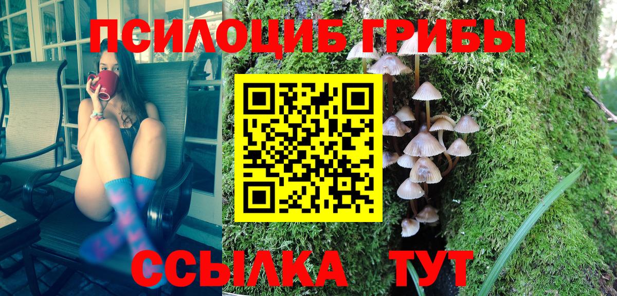 Псилоцибиновые грибы Magic Shrooms Коряжма